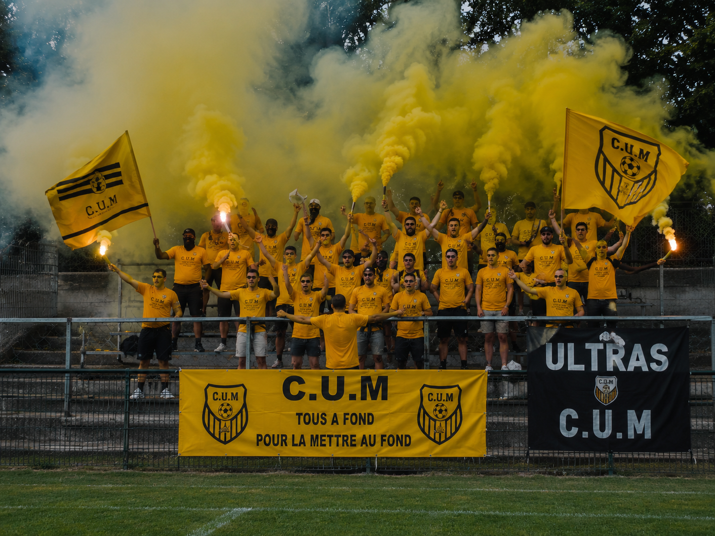 Tribune